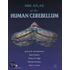 Mri Atlas Of The Human Cerebellum
