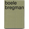 Boele Bregman by Doeke Sijens