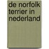 De Norfolk terrier in Nederland