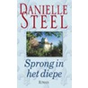 Sprong in het diepe door Danielle Steel