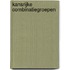 Kansrijke combinatiegroepen