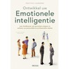 Ontwikkel uw emotionele intelligentie door Jorg B. Theilacker