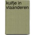 Kuifje in Vlaanderen