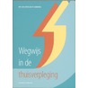 Wegwijs in de thuisverpleging by Sam Cordyn