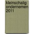 Kleinschalig Ondernemen 2011