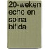20-weken echo en spina bifida