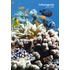 Schoolagenda 2011-2012 met thema Duiken
