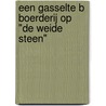 Een Gasselte B Boerderij op "De Weide Steen" by M. Groenhuizen