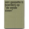 Een Gasselte B Boerderij op "De Weide Steen" door M. Groenhuizen