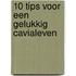 10 Tips voor een gelukkig cavialeven