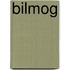 BilMoG