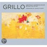 Grillo by Donald Kuspit