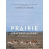 Prairie by Robert Adams