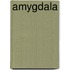 Amygdala