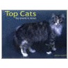Top Cats door David Alderton