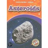 Asteroids by Derek Zobel