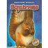 Squirrels