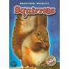 Squirrels door Derek Zobel