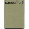 Candomblé door Bruce Werber