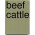 Beef Cattle