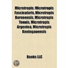 Microtropis by Not Available