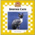 Sphynx Cats