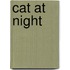 Cat At Night
