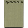 Leptobrachium by Not Available