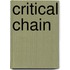 Critical Chain
