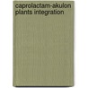 Caprolactam-Akulon plants integration by E.C. Lopera Posada