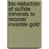 Bio-reduction of sulfide minerals to recover invisible gold
