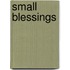 Small Blessings