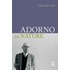 Adorno On Nature