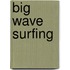 Big Wave Surfing