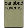Carlsbad Caverns by Sarah Louise Kras