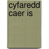 Cyfaredd Caer Is door Thierry Jigourel