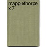 Mapplethorpe X 7 by Robert Mapplethorpe