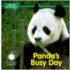 Panda's Busy Day