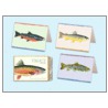 Trout Note Cards by James Prosek