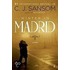 Winter in Madrid