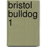 Bristol Bulldog 1 door Rafael A. Permuy Lopez