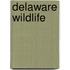 Delaware Wildlife