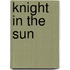 Knight in the Sun