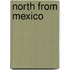 North from Mexico