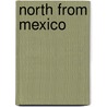 North from Mexico by Matt S. Meier