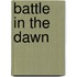 Battle In The Dawn