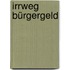 Irrweg Bürgergeld