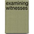 Examining Witnesses