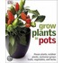 Grow Plants in Pots