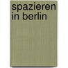 Spazieren in Berlin door Franz Hessel